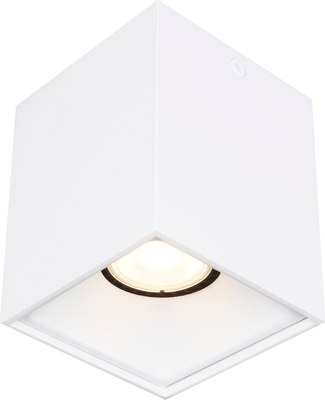 Потолочный светильник ST Luce ST168.502.01