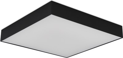 Потолочный светильник ST Luce ST608.442.48