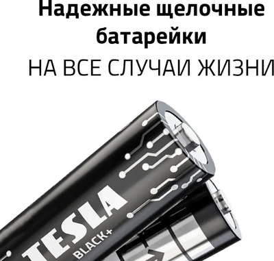 Комплект батареек Tesla Batteries Black+ LR03 2BP