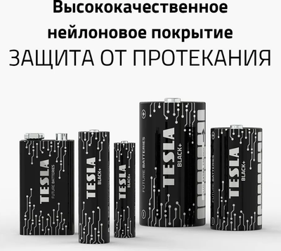 Комплект батареек Tesla Batteries Black+ LR03 2BP