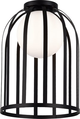 Потолочный светильник ST Luce SL6129.402.01 - фото