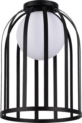 Потолочный светильник ST Luce SL6129.402.01