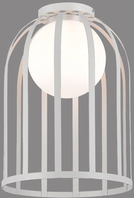 Потолочный светильник ST Luce SL6129.502.01 - фото