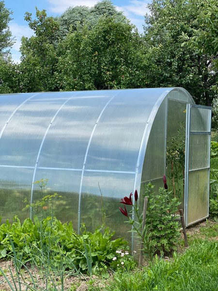 Теплица Садовод Элит ОТ 0.51 кг/м2