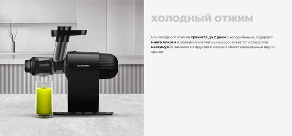 Соковыжималка электрическая Redmond J1401 (черный)