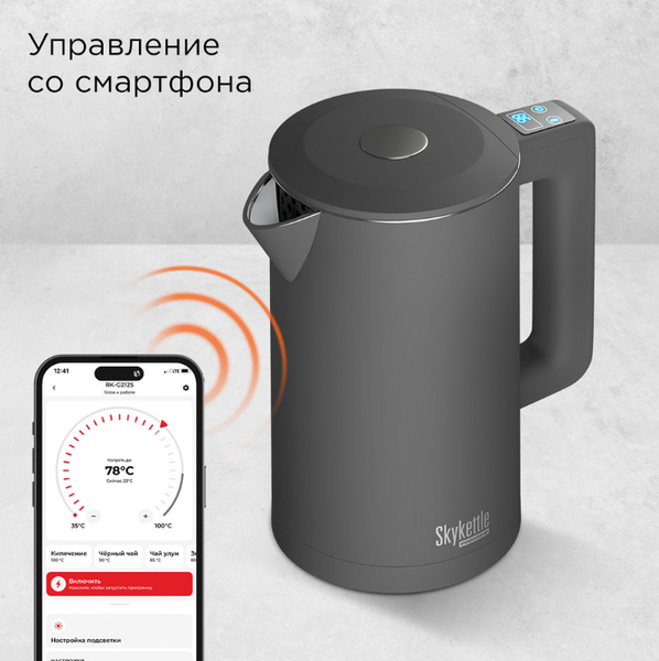 Электрочайник Redmond SkyKettle KM231S (серый)