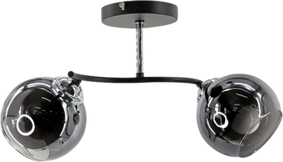 Потолочный светильник Aitin-Pro НПБ 02-2х60-101 / XA1446B/2 - фото