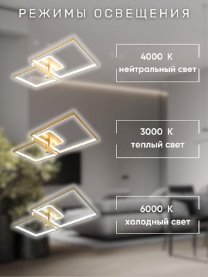 Потолочный светильник Aitin-Pro X60018/2