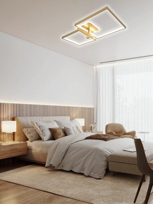 Потолочный светильник Aitin-Pro X60018/2