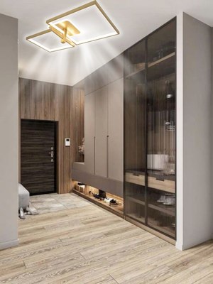 Потолочный светильник Aitin-Pro X60018/2