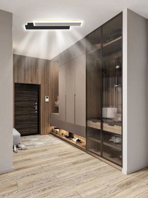 Потолочный светильник Aitin-Pro X20658/425