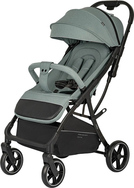 Детская прогулочная коляска INDIGO Frost - фото