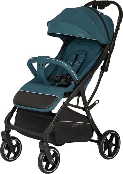 Детская прогулочная коляска INDIGO Frost - фото