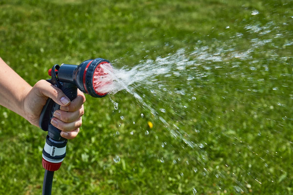 Распылитель для полива Elitech SG 001 / 206056