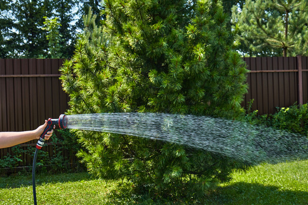 Распылитель для полива Elitech SG 009M / 206064