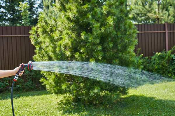 Распылитель для полива Elitech SG 009M / 206064