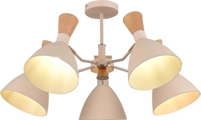 Люстра Evoluce SLE1256-502-05 - фото