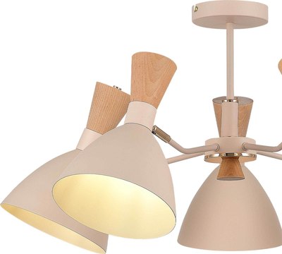 Люстра Evoluce SLE1256-502-05