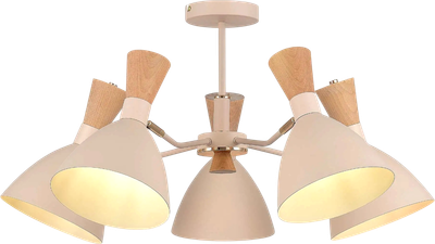 Люстра Evoluce SLE1256-502-05