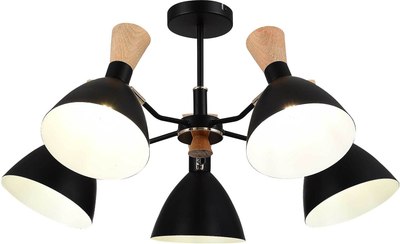 Люстра Evoluce SLE1256-402-05 - фото