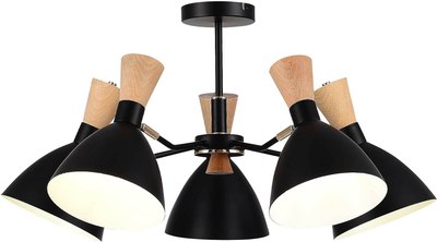 Люстра Evoluce SLE1256-402-05