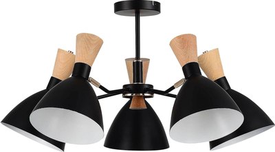 Люстра Evoluce SLE1256-402-05