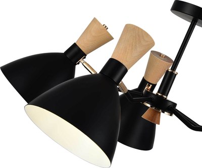 Люстра Evoluce SLE1256-402-05