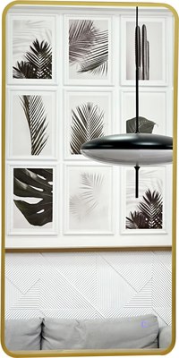 Зеркало Emze Smartphone 45x77 / UV.SMART.45.77.AUR