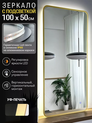 Зеркало Emze Smartphone 50x100 / LED.UV.SMART.50.100.AUR