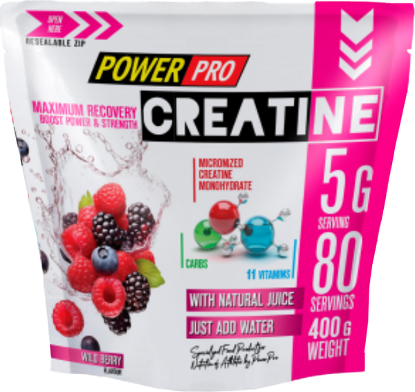 Креатин POWER PRO Maximum Recovery - фото