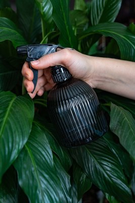 Опрыскиватель-пульверизатор VipSet Фреско