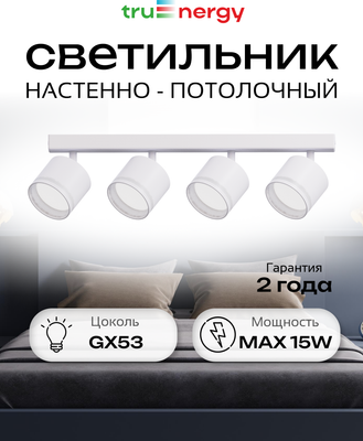 Спот Truenergy 21393