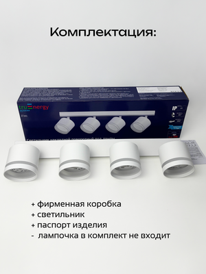 Спот Truenergy 21393