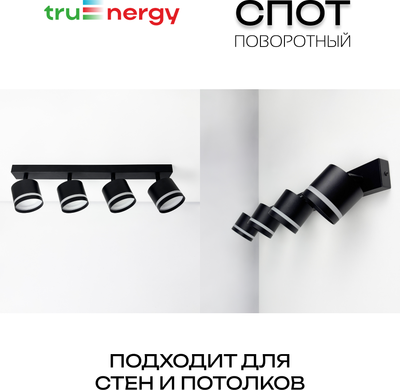 Спот Truenergy 21394