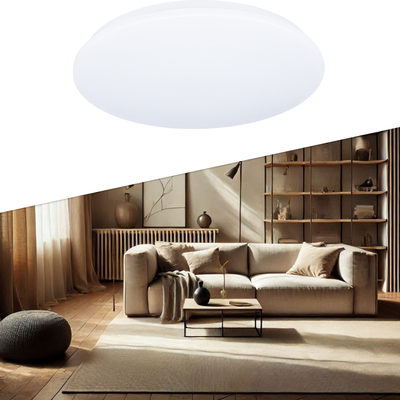 Потолочный светильник Truenergy 11209