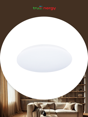 Потолочный светильник Truenergy 11209