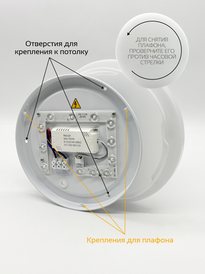 Потолочный светильник Truenergy 11209