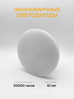 Потолочный светильник Truenergy 11209