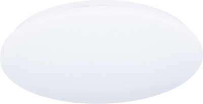 Потолочный светильник Truenergy 11210 - фото