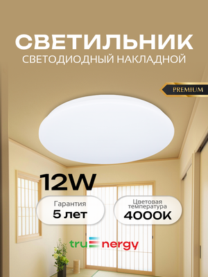 Потолочный светильник Truenergy 11210
