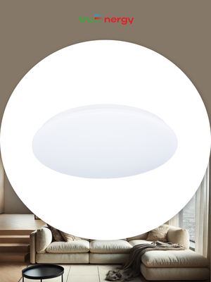 Потолочный светильник Truenergy 11210