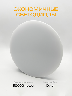 Потолочный светильник Truenergy 11210