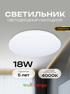 Потолочный светильник Truenergy 11211