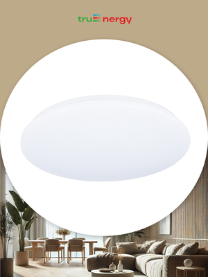 Потолочный светильник Truenergy 11212