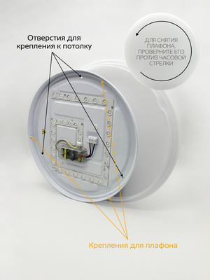 Потолочный светильник Truenergy 11212