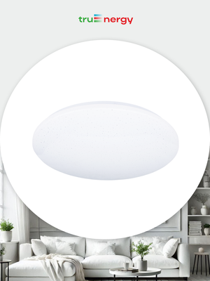 Потолочный светильник Truenergy 11214