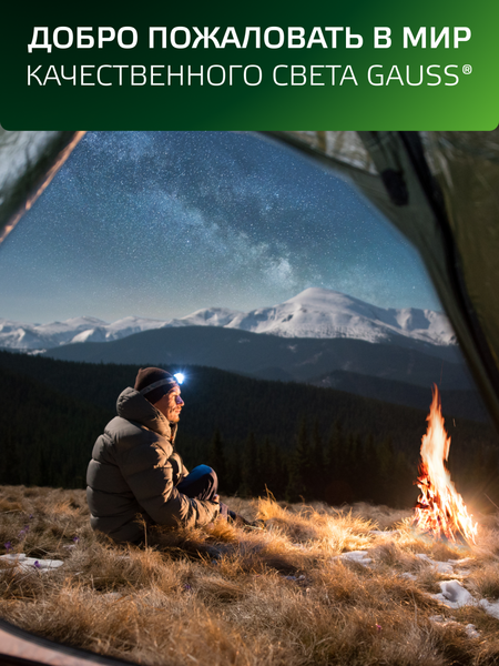 Фонарь Gauss GFL401 / GF401