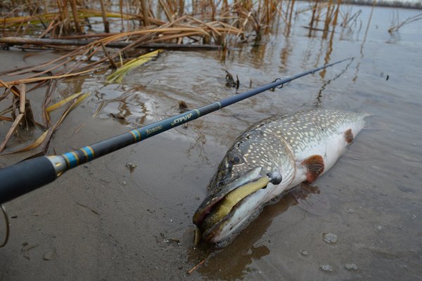 Спиннинг Волжанка Спрут тест 7-28гр / 024-0061