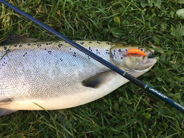 Спиннинг Волжанка Спрут тест 7-28гр / 024-0061