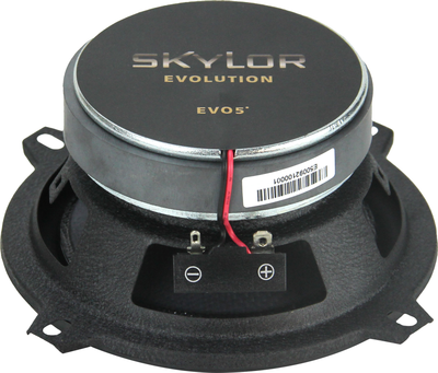 Коаксиальная АС Skylor EVO5 coax